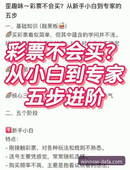 大发彩票体验功能详解：从新手到高手的完整指南